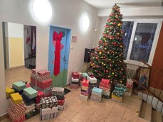 KO�KO L�SKY SA ZMEST� DO KRABICE OD TOP�NOK?